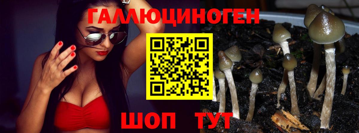 Новотроицк  Псилоцибиновые грибы прущие грибы  Вход с VPN 