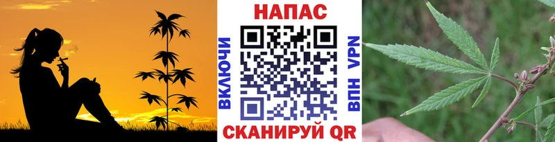 Бошки марихуана семена Новотроицк